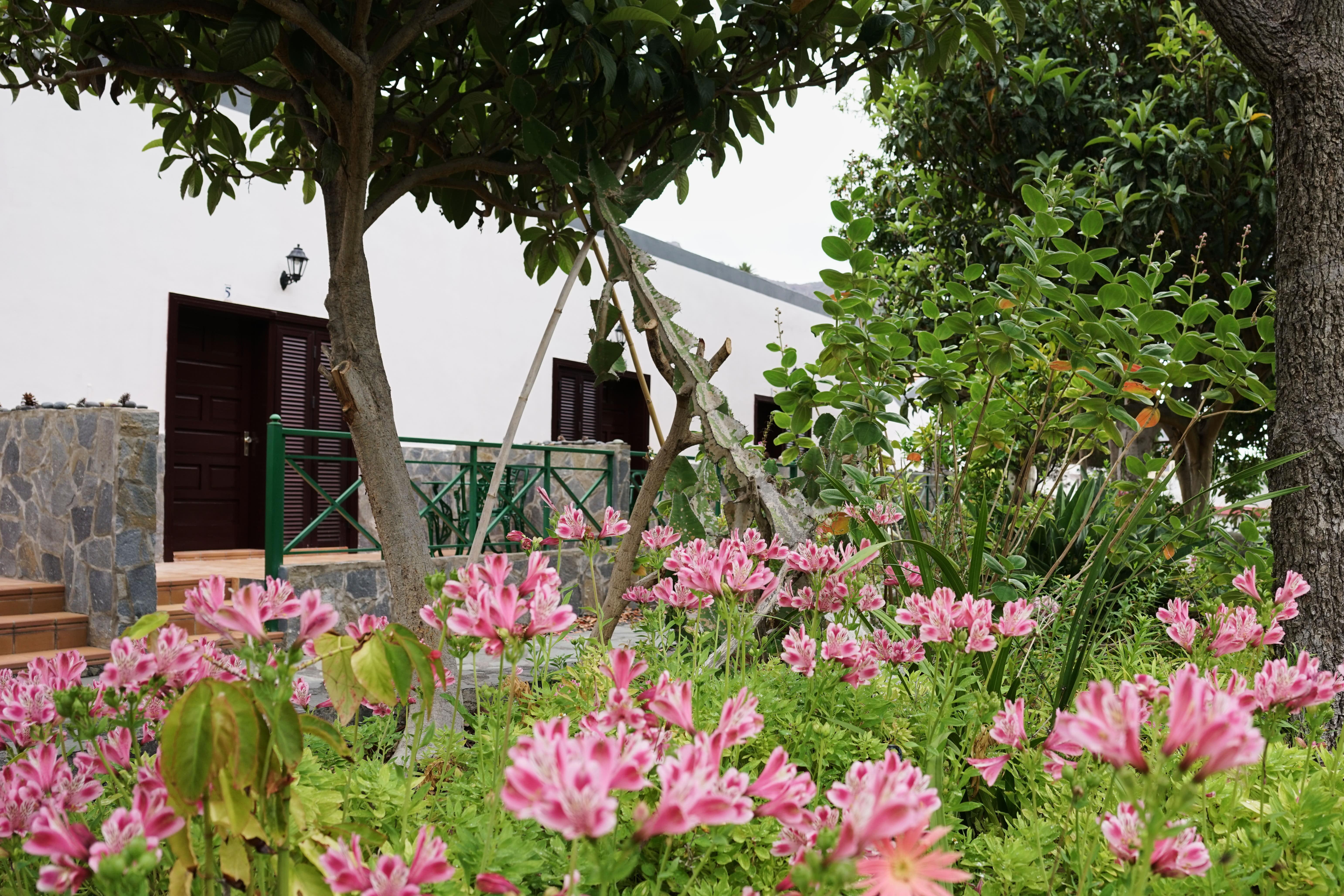 Finca Pinero Hermigua Exterior foto